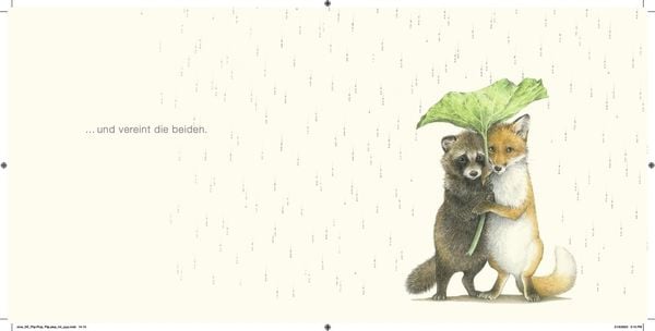 Produktbild: Regen, Regen, Sonnenschein