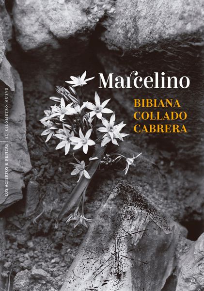 Produktbild: Marcelino