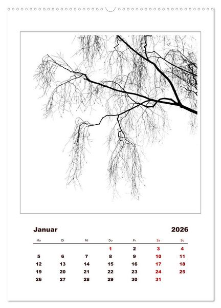 Produktbild: LignoGrafica - Muster und Strukturen der B&auml;ume (Wandkalender 2026 DIN A2 hoch), CALVENDO Monatskalender