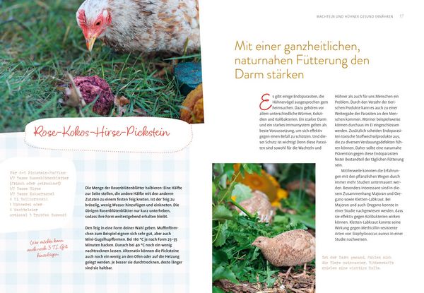 Produktbild: Was sucht das Huhn im Kr&auml;uterbeet?