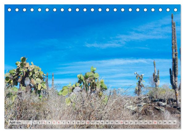 Produktbild: Die Galapagosinseln - Santa Cruz Island (Tischkalender 2026 DIN A5 quer), CALVENDO Monatskalender