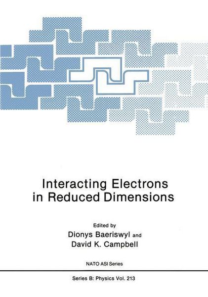 Produktbild: Interacting Electrons in Reduced Dimensions