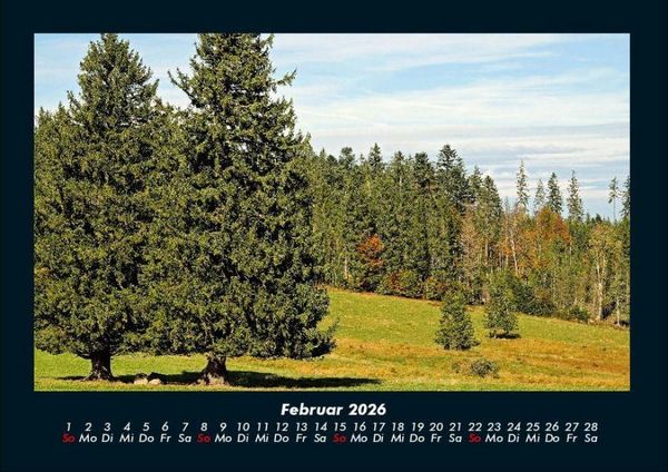 Produktbild: B&auml;ume 2026 Fotokalender DIN A4