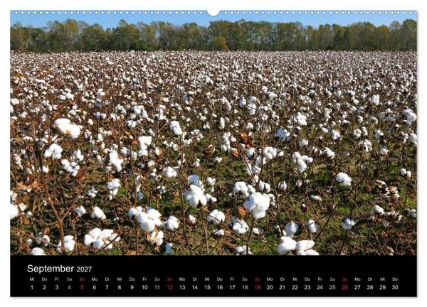 Produktbild: S&uuml;dosten der USA (Wandkalender 2027 DIN A2 quer), CALVENDO Monatskalender