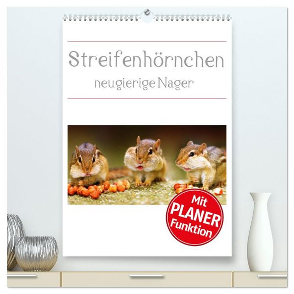 Produktbild: Streifenh&ouml;rnchen - neugierige Nager (hochwertiger Premium Wandkalender 2026 DIN A2 hoch), Kunstdruck in Hochglanz