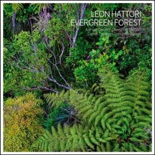Produktbild: Evergreen Forest