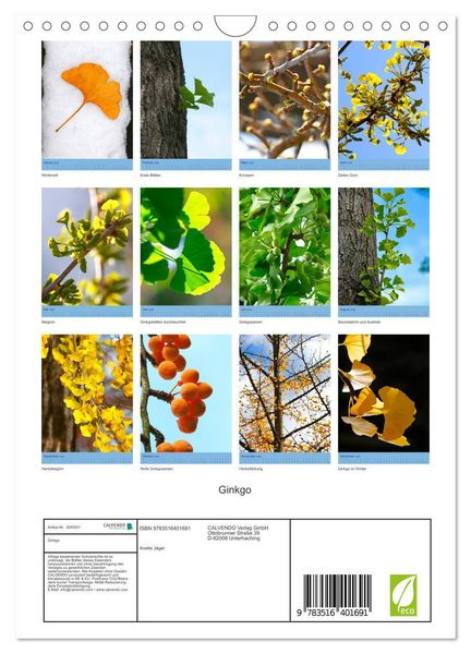 Produktbild: Ginkgo (Wandkalender 2026 DIN A4 hoch), CALVENDO Monatskalender