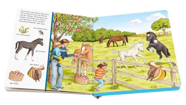 Produktbild: Sachen suchen, Sachen h&ouml;ren: Bei den Tierkindern