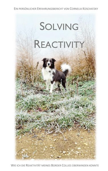 Produktbild: Solving Reactivity