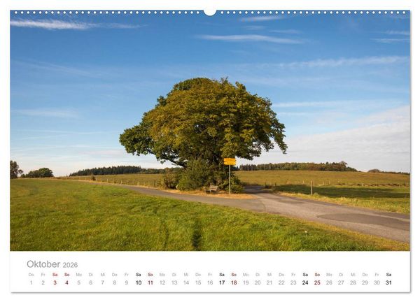 Produktbild: Wundersch&ouml;ne B&auml;ume im Sauerland (Wandkalender 2026 DIN A2 quer), CALVENDO Monatskalender