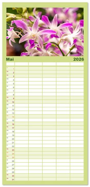 Produktbild: Familienplaner 2026 - Orchidaceae - Orchideen mit 5 Spalten (Wandkalender, 21 x 45 cm) CALVENDO