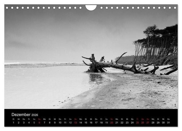 Produktbild: Strandspaziergang an der Ostsee (Wandkalender 2026 DIN A4 quer), CALVENDO Monatskalender