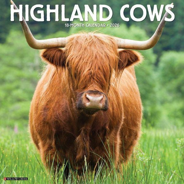 Produktbild: Highland Cows 2026 Wall Calendar