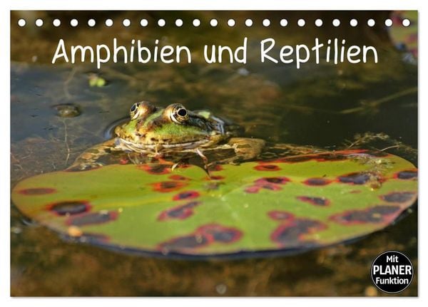 Produktbild: Amphibien und Reptilien (Tischkalender 2026 DIN A5 quer), CALVENDO Monatskalender