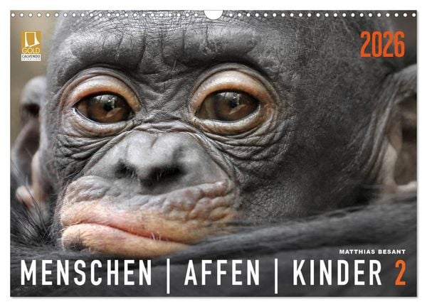 Produktbild: MENSCHENAFFENKINDER 2 (Wandkalender 2026 DIN A3 quer), CALVENDO Monatskalender