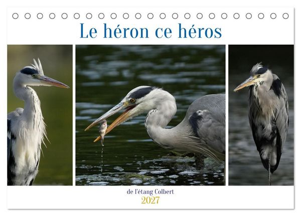 Produktbild: Le h&eacute;ron ce h&eacute;ros de l'&eacute;tang Colbert (Calendrier de bureau 2027 DIN A5 vertical), CALVENDO calendrier mensuel