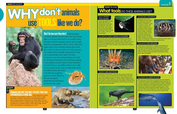 Produktbild: National Geographic Kids Why Not?