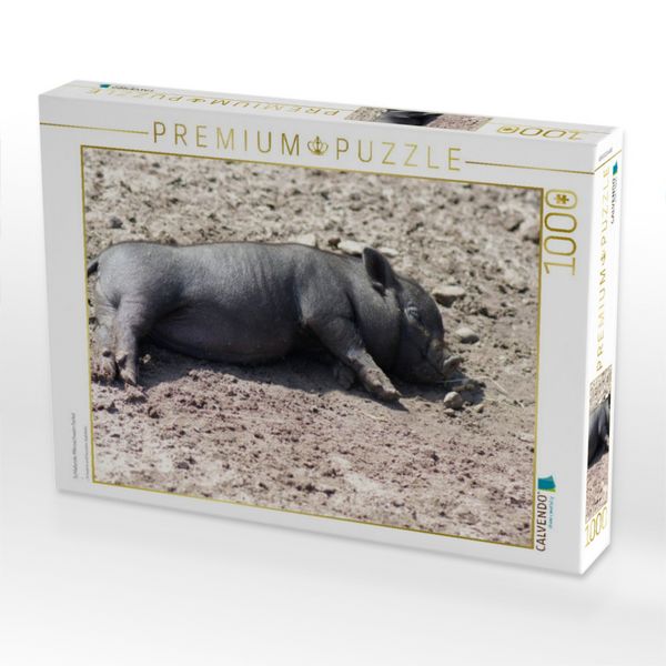 Produktbild: CALVENDO Puzzle Schlafende Mikroschwein Ferkel | 1000 Teile Lege-Gr&ouml;&szlig;e 64x48cm Foto-Puzzle f&uuml;r gl&uuml;ckliche Stunden