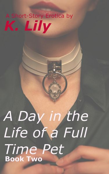 Produktbild: A Day in the Life of a Full-Time Pet: Book Two