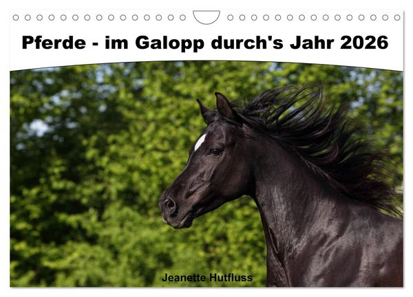 Produktbild: Pferde - im Galopp durch's Jahr 2026 (Wandkalender 2026 DIN A4 quer), CALVENDO Monatskalender