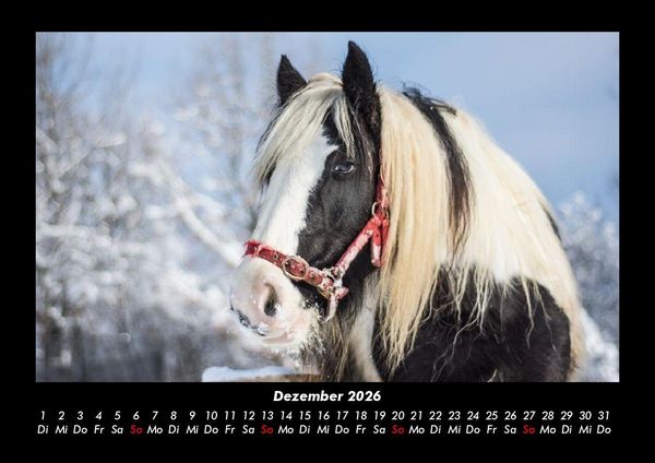 Produktbild: Welt der Pferde 2026 Fotokalender DIN A3