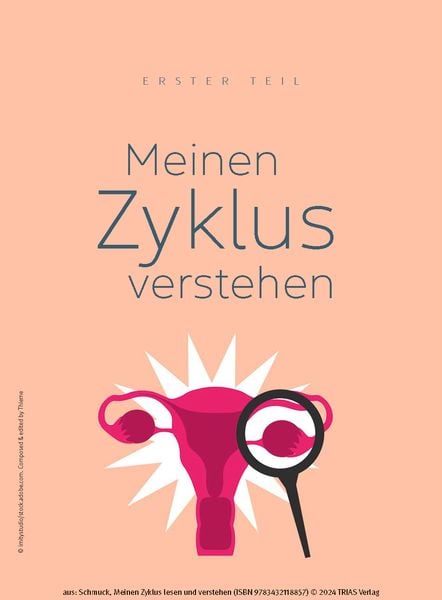 Produktbild: Meinen Zyklus lesen und verstehen