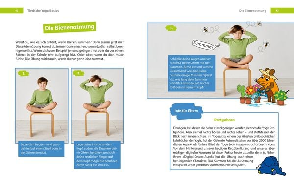 Produktbild: Yoga mit der Maus
