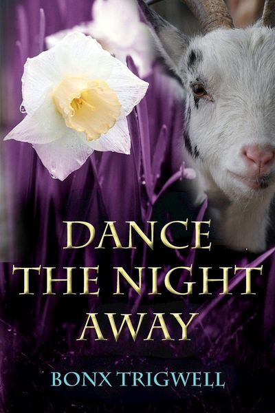 Produktbild: Dance the Night Away