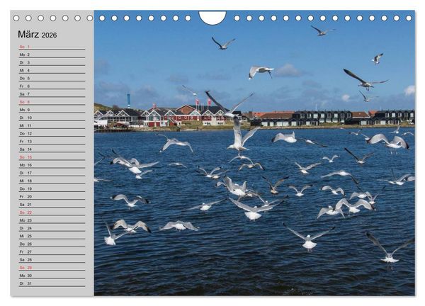 Produktbild: D&auml;nemark - Umgebung von Hvide Sande (Wandkalender 2026 DIN A4 quer), CALVENDO Monatskalender