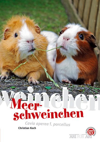 Produktbild: Meerschweinchen