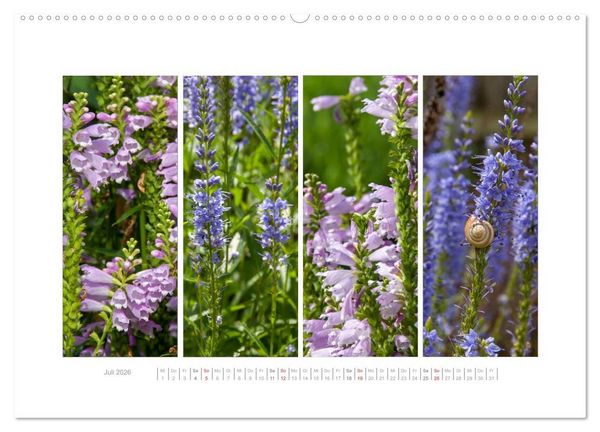 Produktbild: Gartenfreude (Wandkalender 2026 DIN A2 quer), CALVENDO Monatskalender