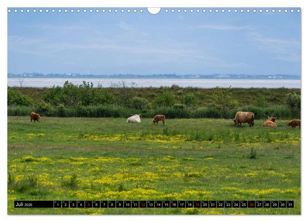 Produktbild: Urlaub auf R&ouml;m&ouml; (Wandkalender 2026 DIN A3 quer), CALVENDO Monatskalender