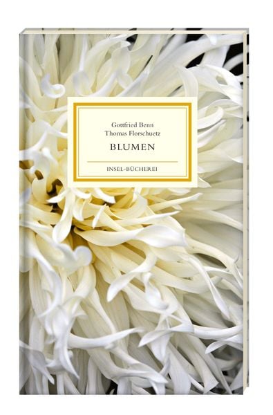 Produktbild: Blumen