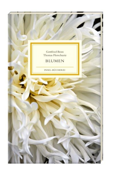 Produktbild: Blumen