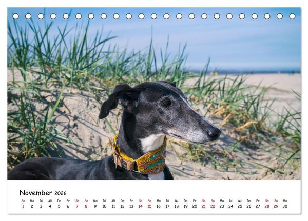 Produktbild: Strandurlaub mit Hund (Tischkalender 2026 DIN A5 quer), CALVENDO Monatskalender