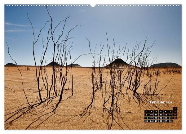 Produktbild: &Auml;gypten &ndash; westliche W&uuml;sten (Wandkalender 2026 DIN A2 quer), CALVENDO Monatskalender