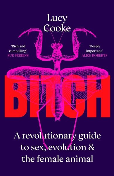 Produktbild: Bitch