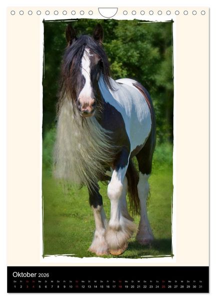 Produktbild: Gypsy's (Wandkalender 2026 DIN A4 hoch), CALVENDO Monatskalender