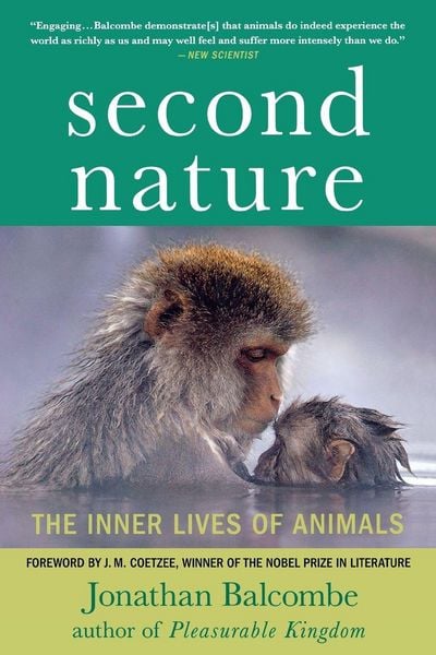 Produktbild: Second Nature