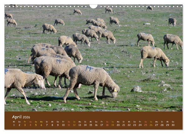 Produktbild: Extremadura Spanien (Wandkalender 2026 DIN A3 quer), CALVENDO Monatskalender