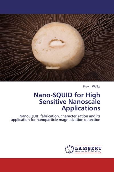 Produktbild: Nano-SQUID for High Sensitive Nanoscale Applications