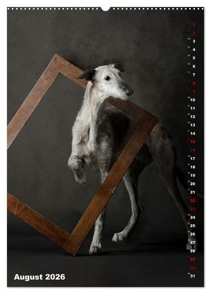Produktbild: dogmuse deluxe (hochwertiger Premium Wandkalender 2026 DIN A2 hoch), Kunstdruck in Hochglanz