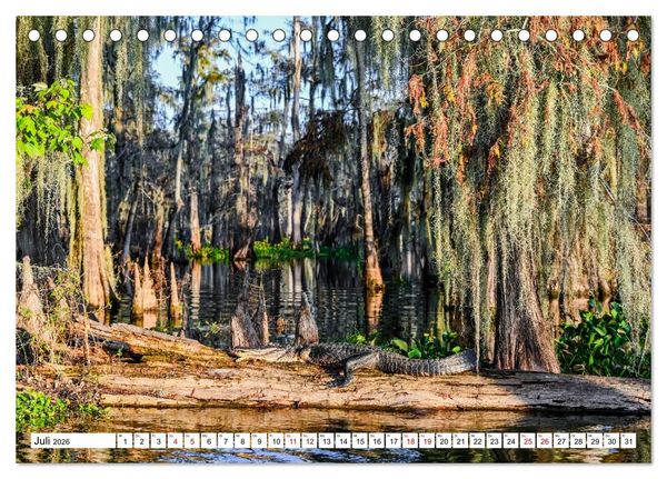 Produktbild: Louisiana - S&uuml;mpfe und Plantagenh&auml;user (Tischkalender 2026 DIN A5 quer), CALVENDO Monatskalender