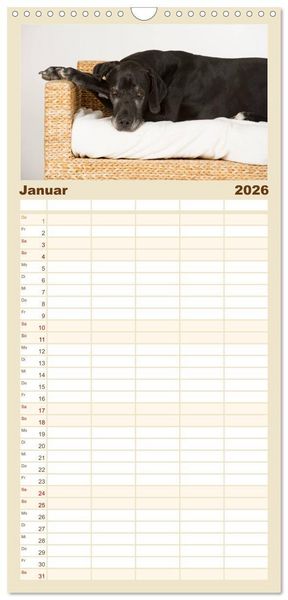 Produktbild: Familienplaner 2026 - Deutsche Doggen / Geburtstagskalender mit 5 Spalten (Wandkalender, 21 x 45 cm) CALVENDO