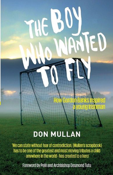 Produktbild: The Boy Who Wanted To Fly