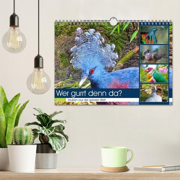 Produktbild: Wer gurrt denn da? (Wandkalender 2026 DIN A4 quer), CALVENDO Monatskalender