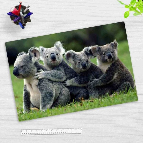Produktbild: Cover-your-desk Schreibtischunterlage f&uuml;r Kinder Koala, aus hochwertigem Vinyl, 60 x 40 cm