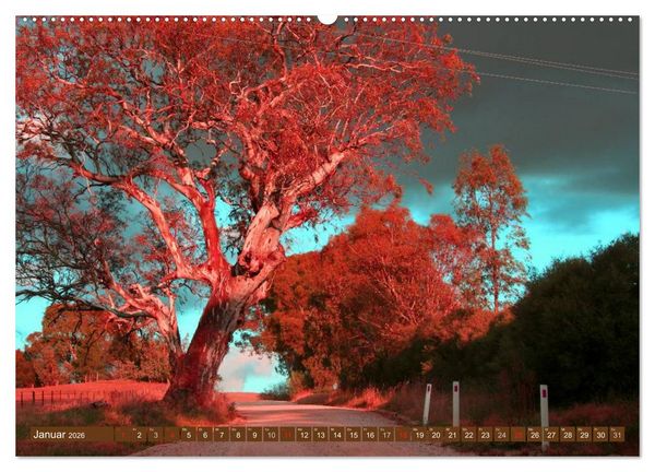 Produktbild: Australien &bull; Impressionen (Wandkalender 2026 DIN A2 quer), CALVENDO Monatskalender