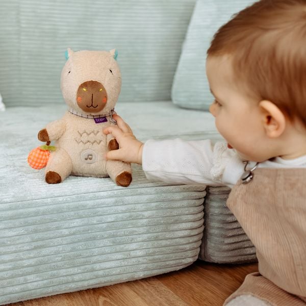 Produktbild: Einschlafhilfe Capybara