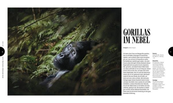 Produktbild: Lonely Planet Best Shots